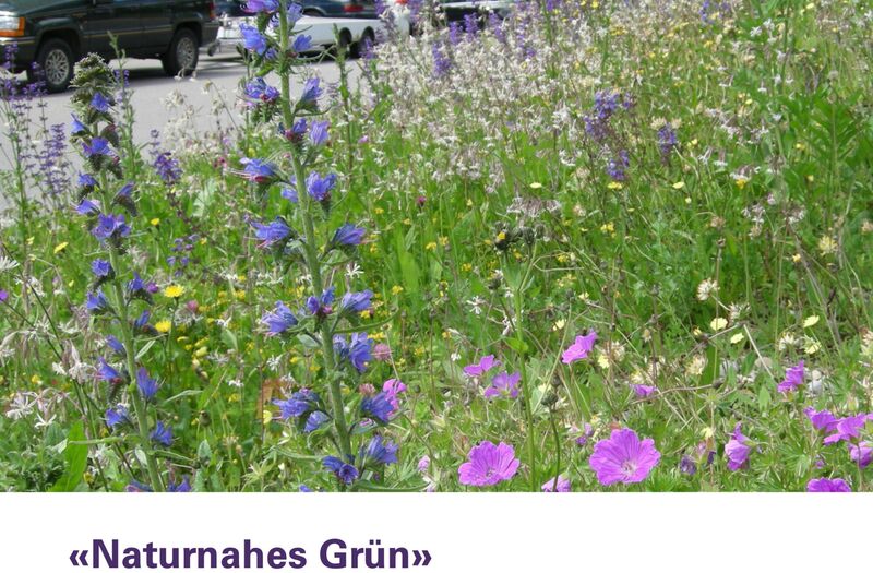 Weiterbildung_naturnahes Gruen_Naturnetz Pfannenstil_2022