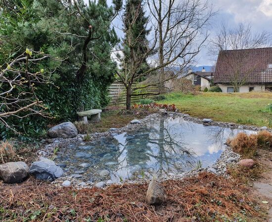 Teichbau, Privatgarten Herrliberg