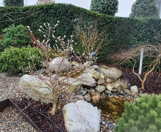 Gartenunterhalt Frühjahrspflege