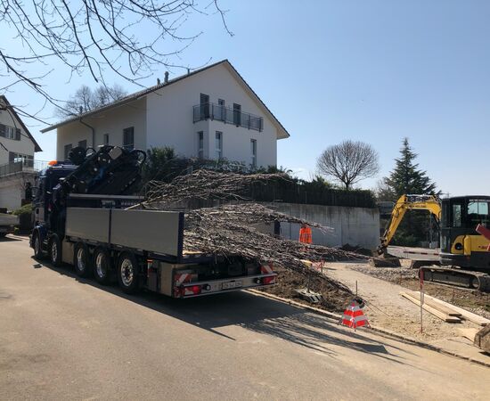 Umgestaltung der Parkanlage «Rosenegg», Zentrum Zumikon