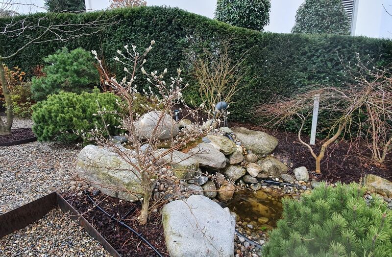 Gartenunterhalt Frühjahrspflege