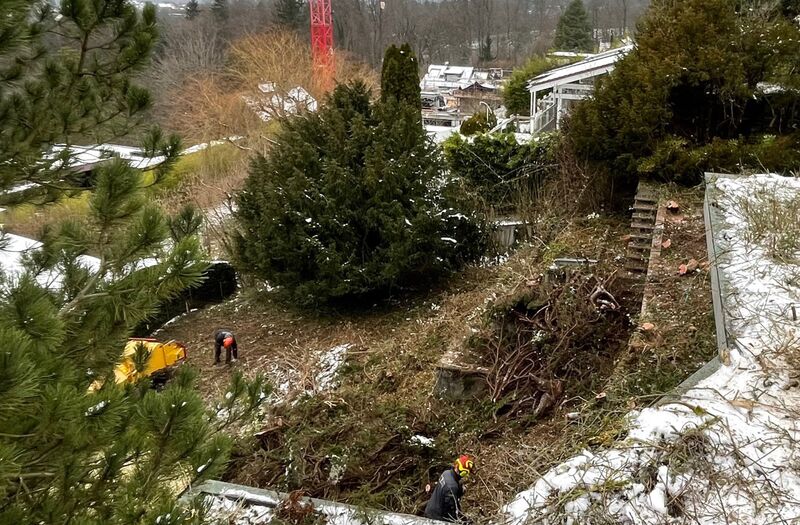 Baumfällarbeiten in Zumikon und Umgebung