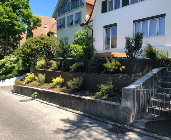 Terrassierung, Privatgarten Zollikon